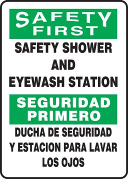 SAFETY SHOWER AND EYEWASH STATION (BILINGUAL)