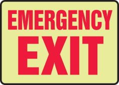 Glow-In-The-Dark Safety Sign: Emergency Exit