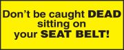 DON'T BE CAUGHT DEAD SITTING ON YOUR SEAT BELT!