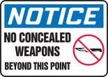 NO CONCEALED WEAPONS BEYOND THIS POINT (W/GRAPHIC)