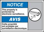 NOTICE THIS PROPERTY IS PROTECTED BY ELECTRONIC SURVEILLANCE (W/GRAPHIC)