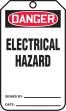 ELECTRICAL HAZARD