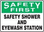 SAFETY SHOWER AND EYEWASH STATION
