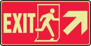 EXIT (W/GRAPHIC) (ARROW) (GLOW)