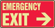 EMERGENCY EXIT (ARROW RIGHT) (GLOW)