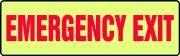 EMERGENCY EXIT (GLOW)