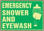 EMERGENCY SHOWER AND EYEWASH (W/GRAPHIC)
