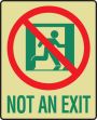 NOT AN EXIT (W/GRAPHIC)