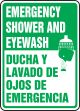 EMERGENCY SHOWER AND EYEWASH (W/GRAPHIC) (BILINGUAL)