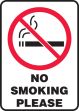 NO SMOKING PLEASE (W/GRAPHIC)