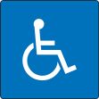 HANDICAPPED GRAPHIC