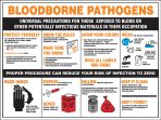 BLOODBORNE PATHOGENS UNIVERSAL PRECAUTIONS FOR THOSE EXPOSED TO BLOOD OR OTHER POTENTIALLY INFECTIOUS MATERIALS IN THEIR OCCUPATION ...