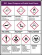 GHS Pictogram Poster: GHS - Hazard Pictograms and Related Hazard Classes