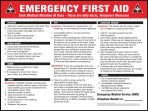 Safety Sign, Legend: EMERGENCY FIRST AID ... BLEEDING ... BROKEN BONES ... BURNS... SHOCK ... CPR ... CONSCIOUS CHOKING ... POISON ...