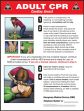 Safety Sign, Legend: ADULT CPR CARDIAC ARREST (CPR) ...