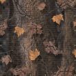 CAMO GRAPHIC