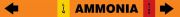 AMMONIA (BLANK) LIQ HIGH