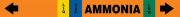 AMMONIA (BLANK) LIQ/VAP LOW