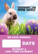 Digi-Day® 3 Magnetic Faces: Everybunny Can Work Safely