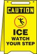 ICE WATCH YOUR STEP
