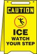 ICE WATCH YOUR STEP