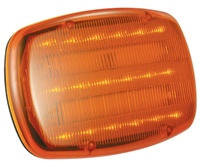 Palm Bright Mini Lights