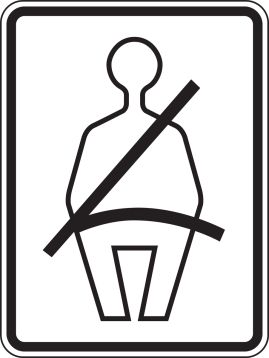 (BUCKLE SEAT BELT PICTORIAL)