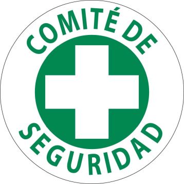 COMITÃ? DE SERGURIDAD HARD HAT EMBLEM