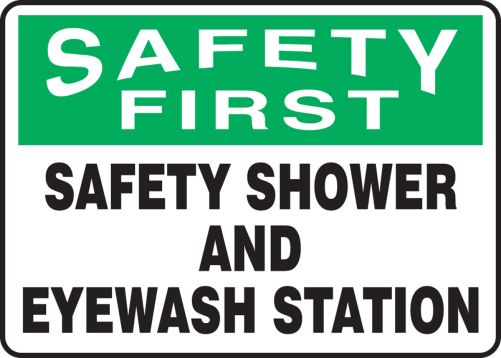 SAFETY SHOWER AND EYEWASH STATION