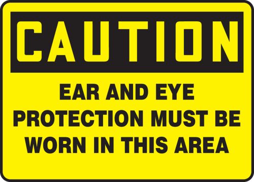 EAR AND EYE PROTECTION MUST BE WORN IN THIS AREA