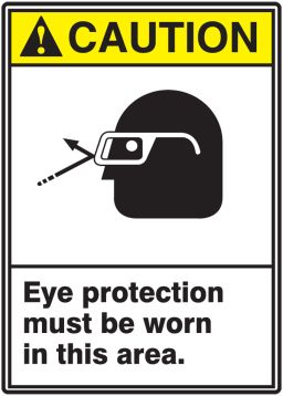 EYE PROTECTION MUST BE WORN IN THIS AREA (W/GRAPHIC)