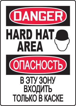 DANGER HARD HAT AREA (W/GRAPHIC)