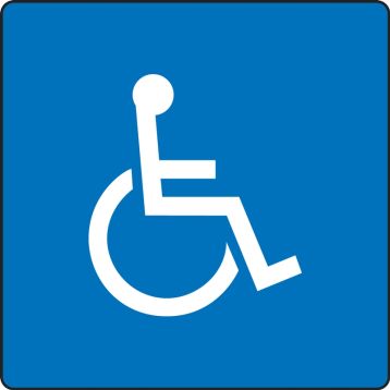 HANDICAPPED GRAPHIC