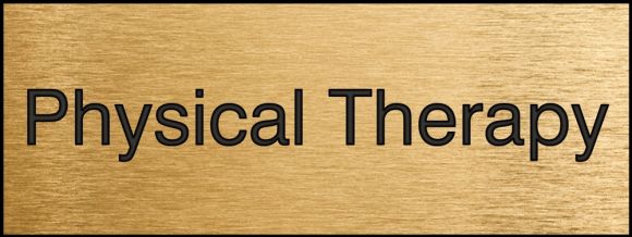 Safety Sign, Legend: PHYSICAL THERAPY