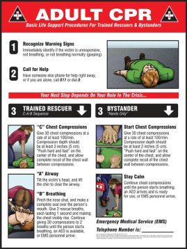 Safety Sign, Legend: ADULT CPR BASIC LIFE SUPPORT PROCEDURES FOR TRAINED RESCUERS & BYSTANDERS ....