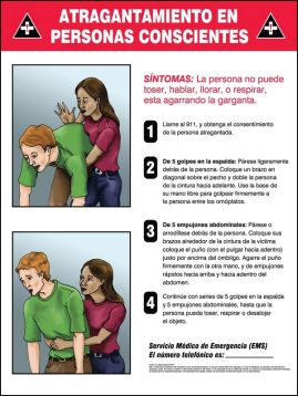 Safety Sign, Legend: CONSCIOUS CHOKING ...