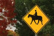 Traffic Sign, Legend: (HORSE CROSSING PICTORIAL)