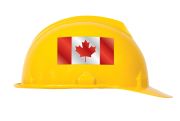 CANADIAN FLAG
