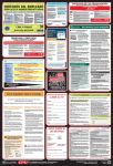 Combo State, Federal And OSHA Labor Law (Spanish)