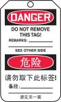 DANGER (BLANK) (English/Chinese-Simplified)