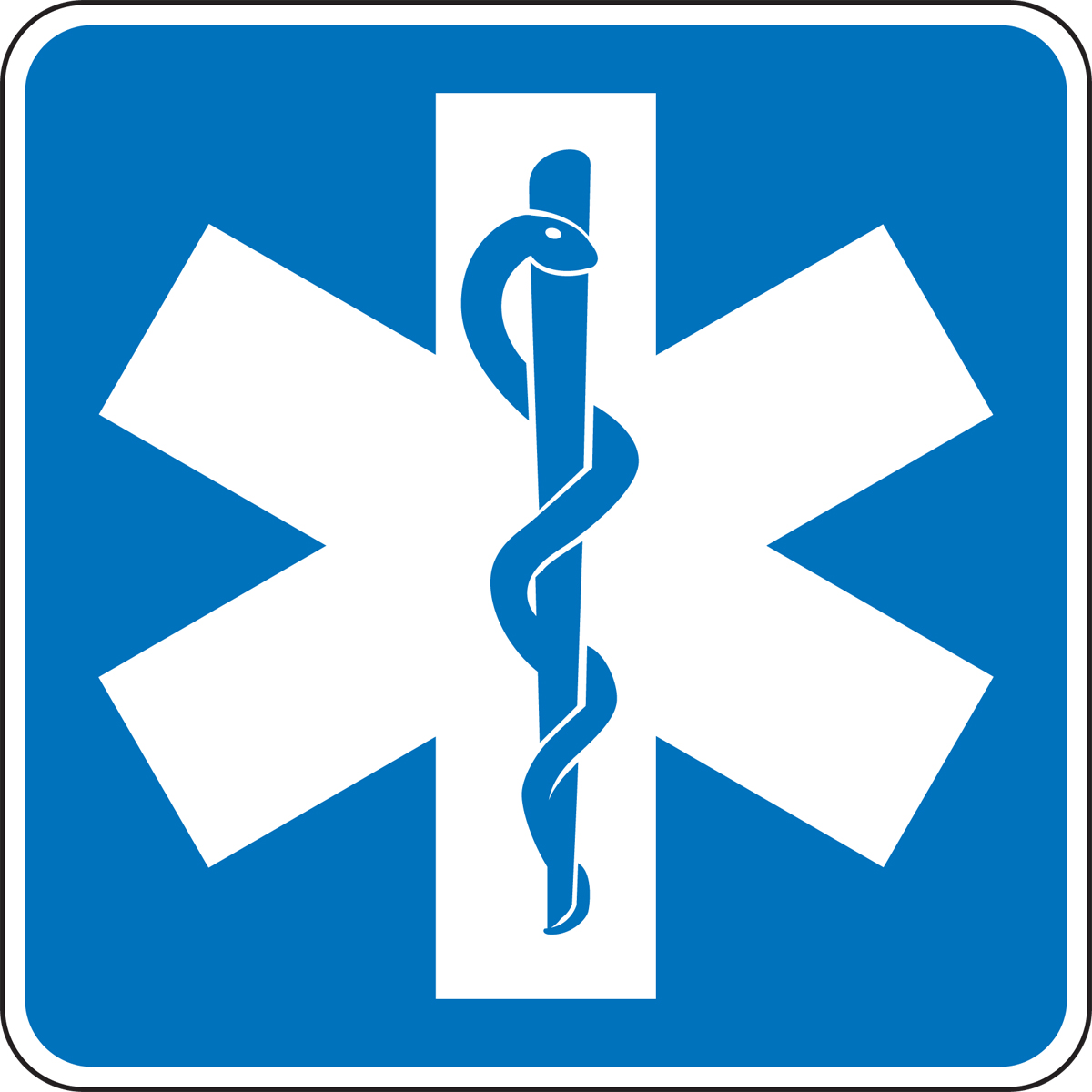 EMERGENCY MEDICAL SERVICES 