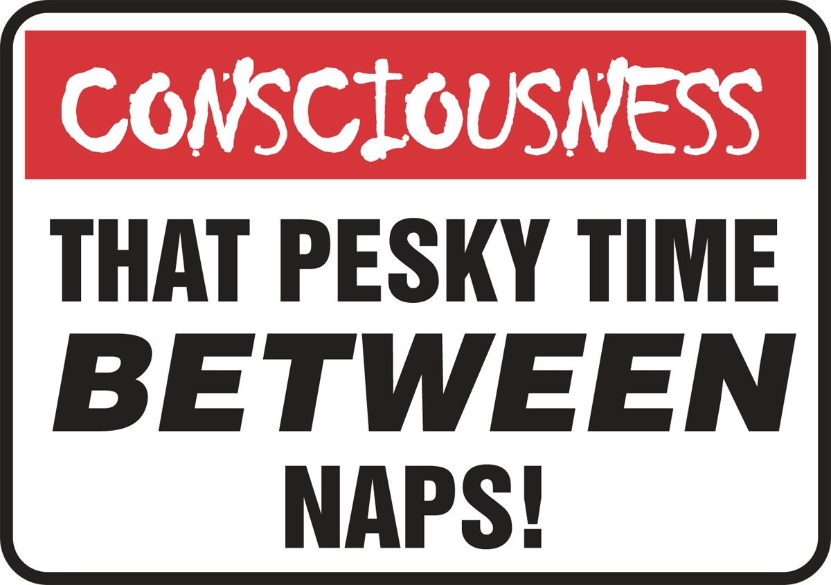 CONSCIOUSNESS THAT PESKY TIME BETWEEN NAPS!