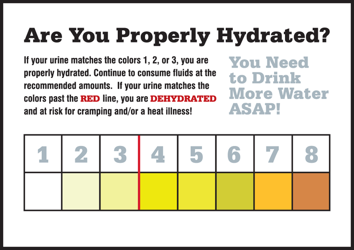 Urine Dehydration Chart