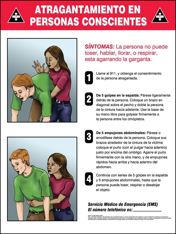 Safety Sign, Legend: CONSCIOUS CHOKING ...