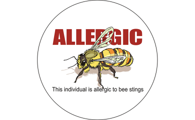 Bee