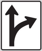 Lane Guidance Sign: Right/Straight Optional Lane