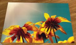 Table-Gard™ Disposable Work Mats