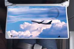 Tray Table-Gard™ Disposable Mats