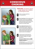 Safety Signs: Conscious Choking