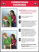Safety Posters: Conscious Choking